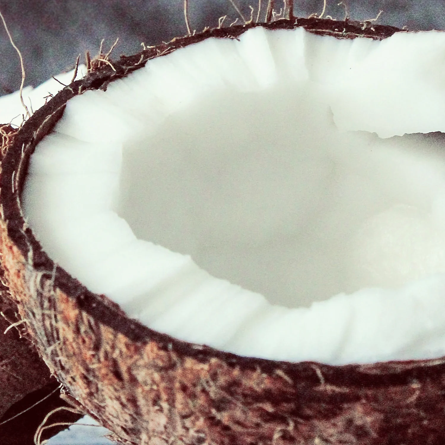 Coconut Refined Organic Oil (solid) (No. 227) - Image 3