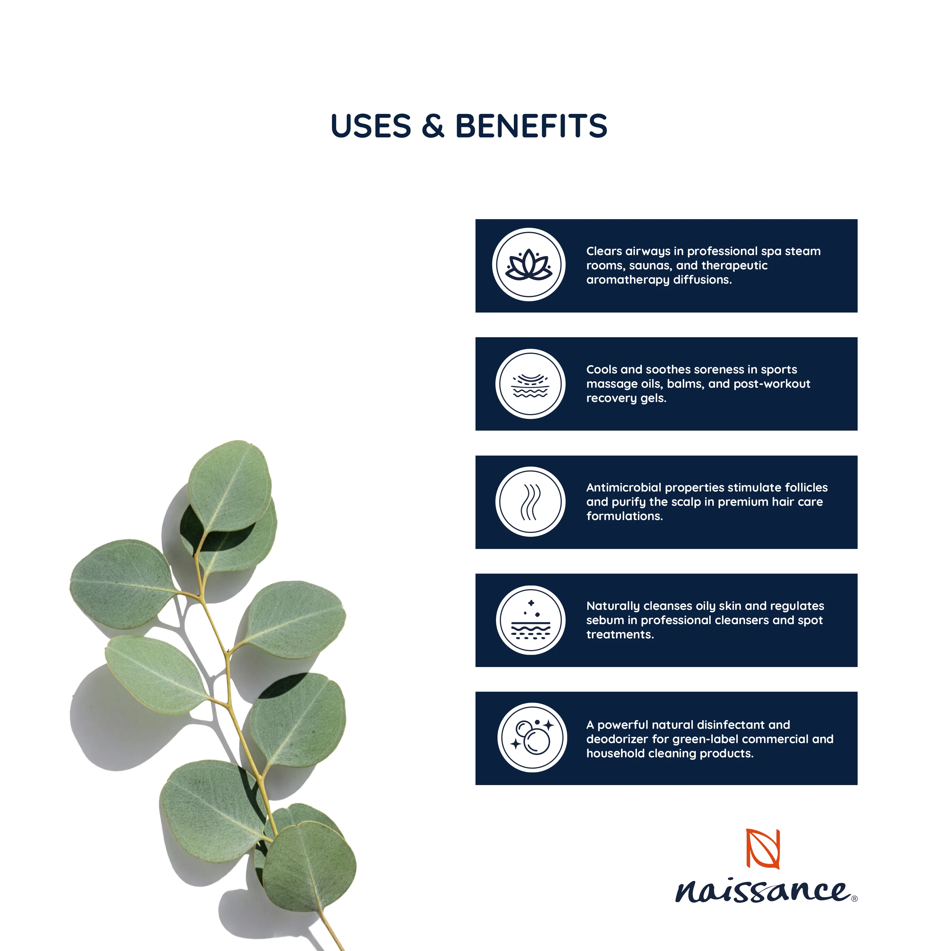 Eucalyptus Blue Gum Essential Oil (No. 101) - Image 5